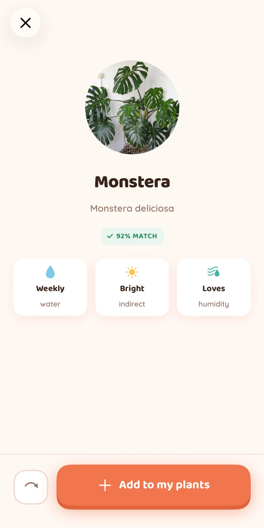 Bloom identifies a sample Monstera photo and shows its name, watering, light, and humidity guidance.