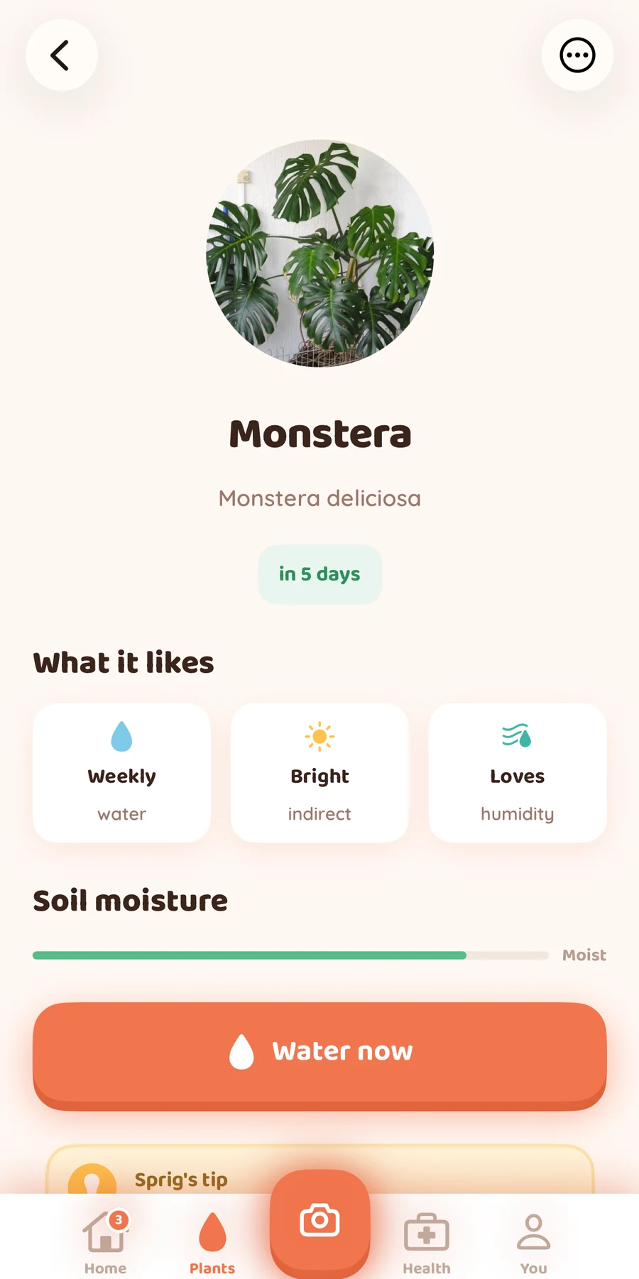 A Monstera care screen in Bloom with watering, light, humidity guidance, and a Water now action.
